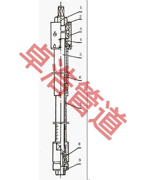 圖片3.jpg
